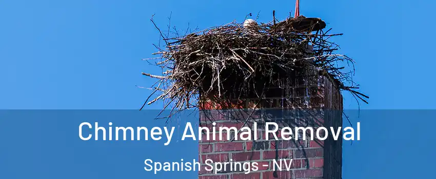 Chimney Animal Removal Spanish Springs - NV