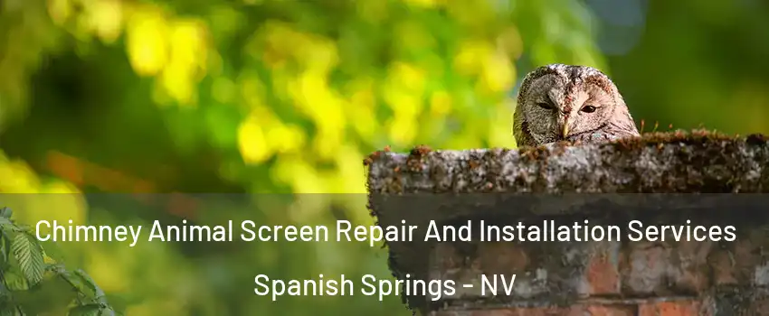  Chimney Animal Screen Repair And Installation Services Spanish Springs - NV