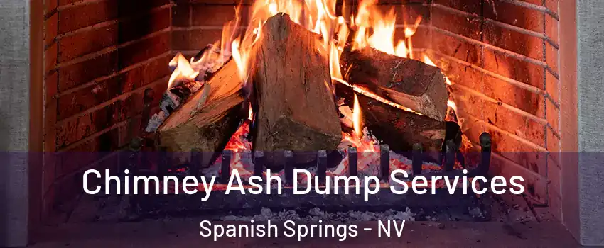  Chimney Ash Dump Services Spanish Springs - NV