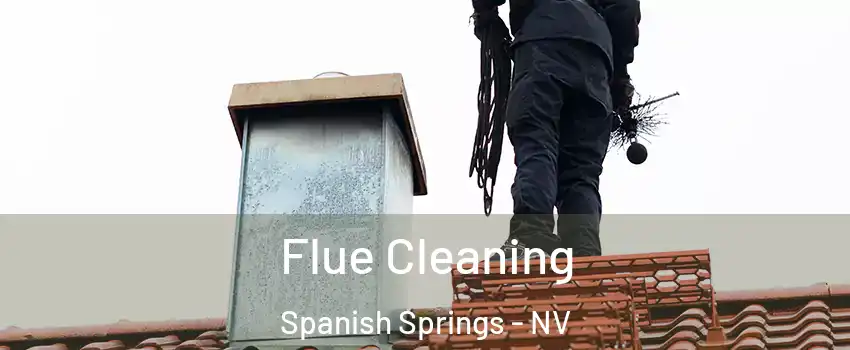  Flue Cleaning Spanish Springs - NV