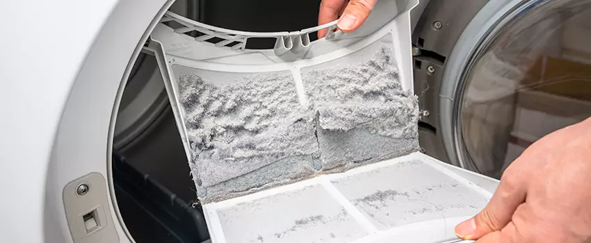 Best Dryer Lint Removal Company in Spanish Springs, Nevada