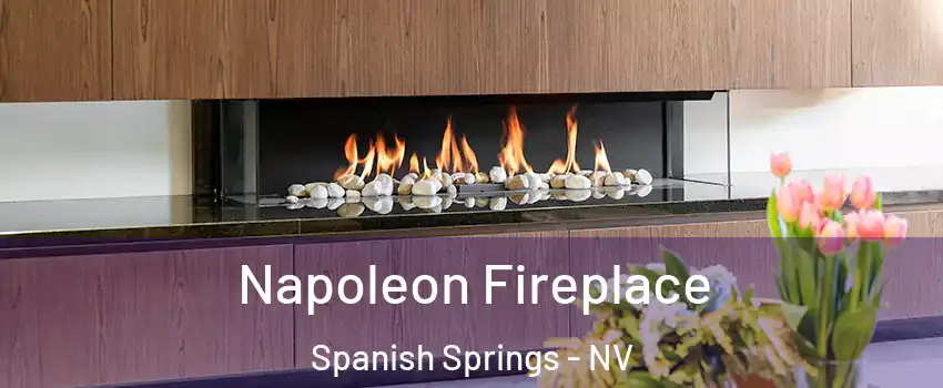  Napoleon Fireplace Spanish Springs - NV