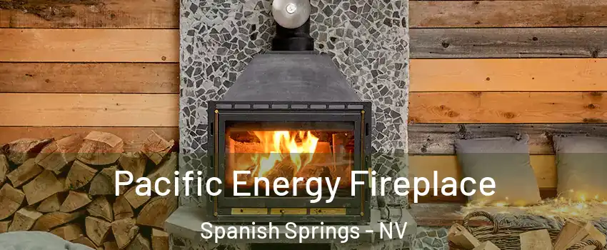  Pacific Energy Fireplace Spanish Springs - NV